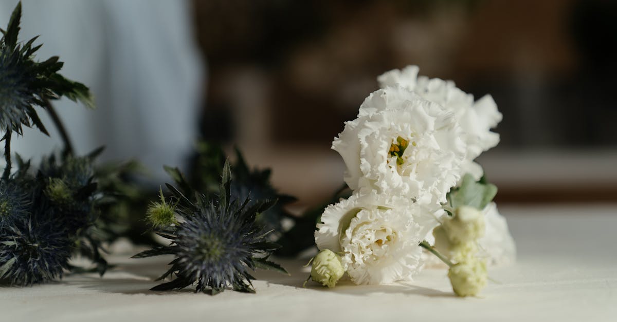 Florist Denver CO