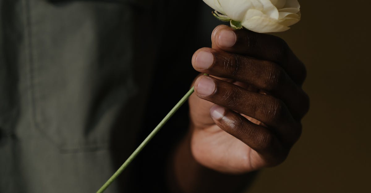 Denver CO Florist